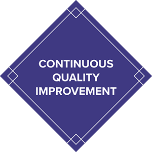 CQI Module (annual)